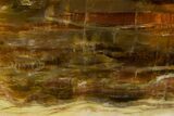 Chatoyant, Polished Pietersite Slab - Arizona #301704-1